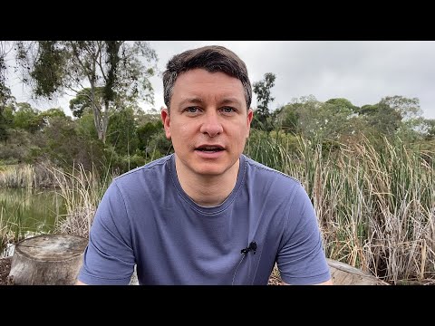 Видео: Сообщение постоянным зрителям... (будет удалено через 36 часов)