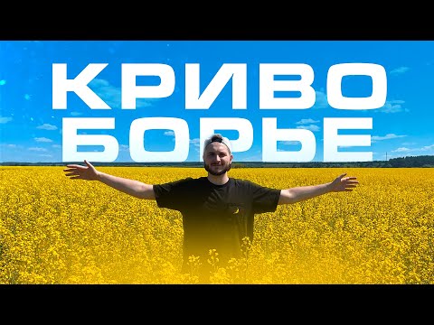 Видео: Кривоборье Воронежская область / Кемпинг на реке Дон, рыбалка и плов в казане на костре