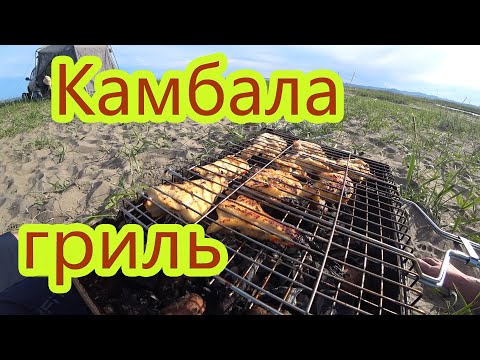 Видео: Наловили камбалы и приготовили на мангале на берегу моря