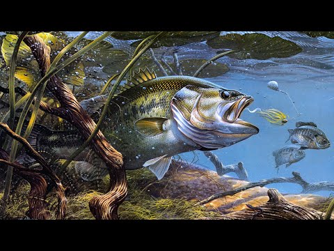 Видео: Собираю Карточки в РР4, Честно Скукота это рыбалка, 48 lvl 300 дней Према