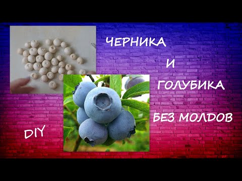 Видео: Черника и Голубика без молдов/Чем отличаются ягоды/Blueberries DIY modeling