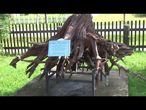 Видео: Мемориальские встречи. Беседа 6-я. Колпашево, Палочка.