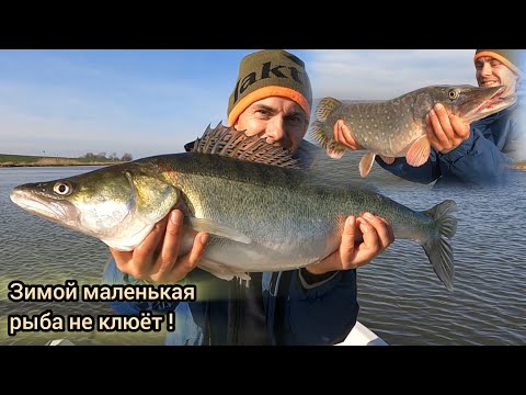 Видео: Зимняя рыбалка в Голландии на больших судаков и щук!
