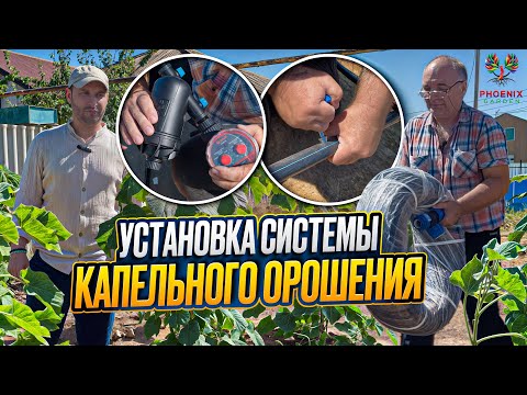 Видео: Установка капельного орошения в нашем питомнике — забота о саженцах.