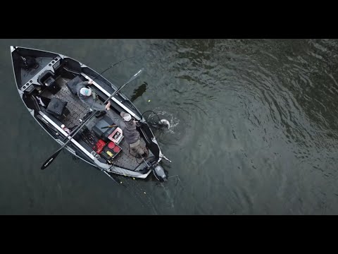 Видео: Методы ловли на стальноголового поплавка | ЧТЕНИЕ ВОДЫ | ПОЛНЫЙ РАЗБОР ЛОВЛИ НА ПОПЛАВНИК