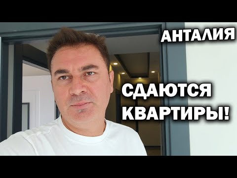 Видео: СДАЮТСЯ ДВЕ КВАРТИРЫ! БЕЗ ПОСРЕДНИКОВ в Анталия Турция