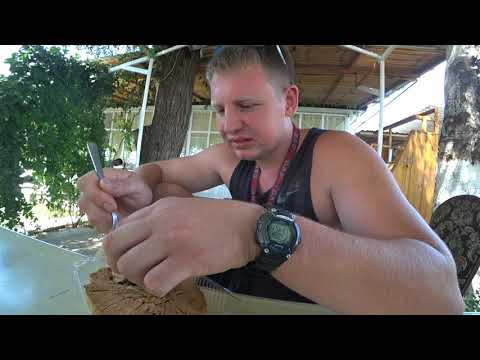 Видео: Анализ На Вирус Узбекистан Дальнобой