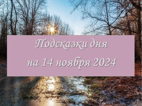 Видео: Гороскоп на 14 ноября 2024 года