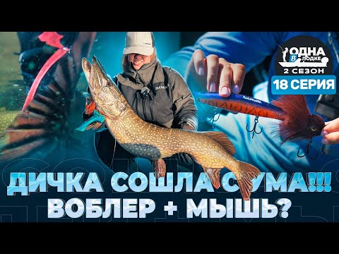Видео: СЕКРЕТНАЯ ЛАБОРАТОРИЯ Вероники: эксперименты с мышами | «Одна в лодке» | 2 сезон | 18 серия