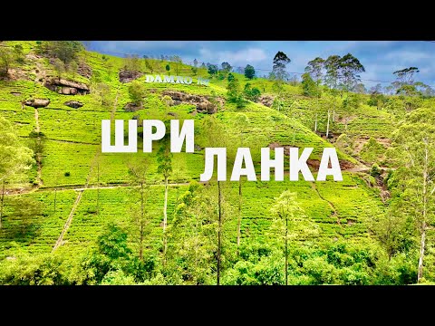 Видео: ШРИ-ЛАНКА🇱🇰ВАЖНО❗️ЧТО ПОСМОТРЕТЬ ОБЯЗАТЕЛЬНО? НУВАРА-ЭЛИЯ, ЧАЙНЫЕ ПЛАНТАЦИИ! АКТУАЛЬНЫЕ ЦЕНЫ на ВСЁ.