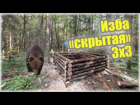 Видео: СРУБ РАСТЁТ, ИЗБУШКА СТРОИТСЯ! СТРОЮ ИЗБУ 3х3