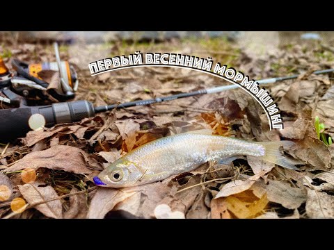 Видео: ПЕРВЫЙ ВЕСЕННИЙ МОРМЫШИНГ 2023