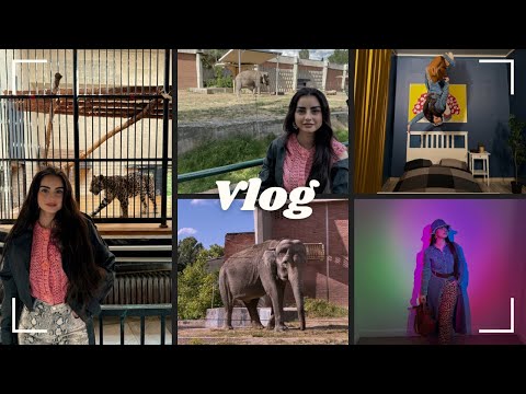 Видео: Зоологическа градина София 🐆🐘, Музей на илюзиите | ВЛОГ