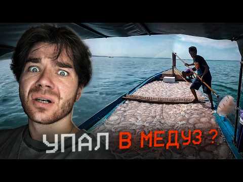 Видео: Он РАСТВОРИЛСЯ??? | ПАРАДОКС МАРТЫШКИ | Zadumaites