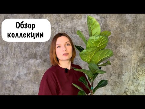 Видео: Обзор коллекции | Часть 3 | Крупномеры