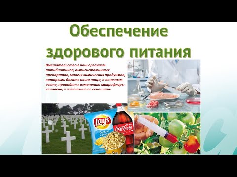 Видео: Обеспечение здорового питания @artlifeby