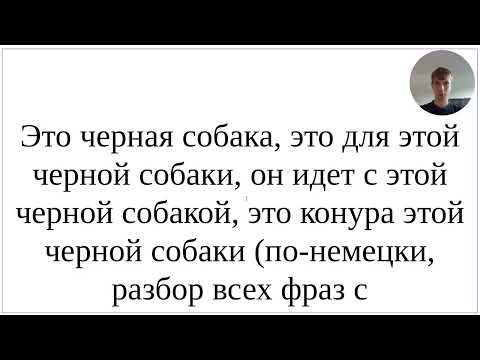 Видео: Как сказать по-немецки "Черная собака, для черной собаки, он с черной собакой, конура черной собаки"