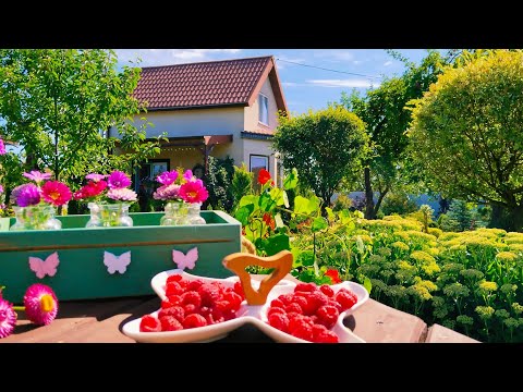 Видео: Огород Красоте не Помеха. Огород с Фантазией на приусадебном участке. Обзор. Август.