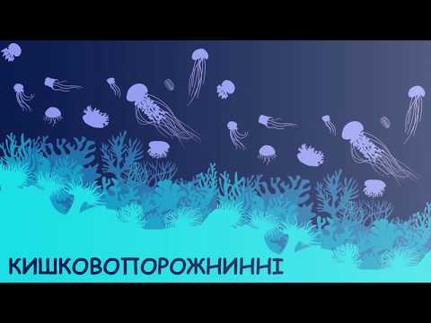 Видео: Кишковопорожнинні