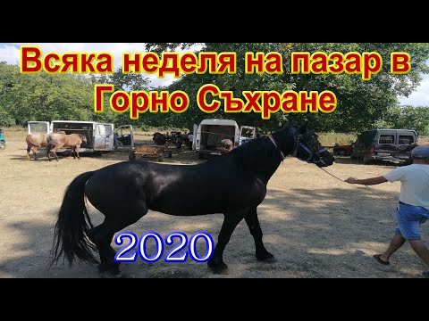 Видео: На пазар в Горно Съхране - 2020 г.