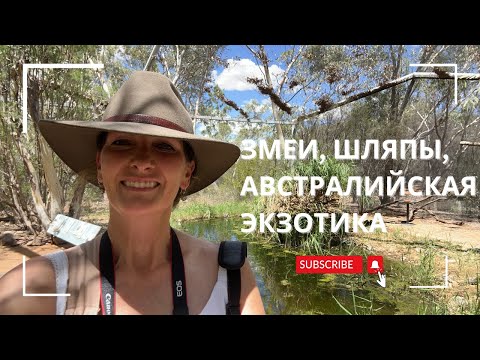 Видео: Змеи, шляпы и экзотика Алис Спрингс, Центральная Австралия.
