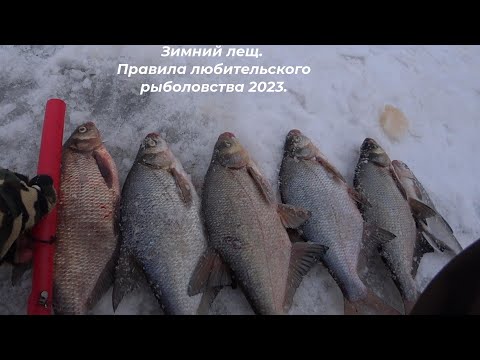 Видео: Зимняя Рыбалка на Леща! Рыбалка на Оке 2023. Новые Правила о Рыболовстве 2023!