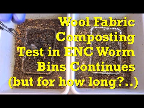 Видео: Продолжается работа по удалению подстилки из контейнера для червей ENC (и эксперимент с шерстяной...