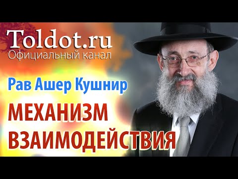 Видео: Рав Ашер Кушнир. Механизм взаимодействия духовного и материального. ДЕРЕХ АШЕМ 26