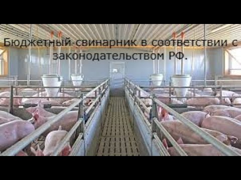 Видео: №42 | Как построить БЮДЖЕТНЫЙ свинарник.