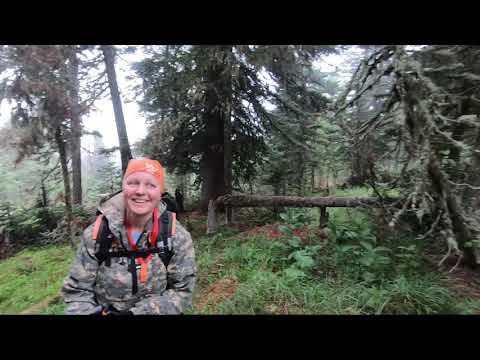 Видео: Синюха 2023. Та самая гора, что рядом с Белокурихой.   Впечатления июня