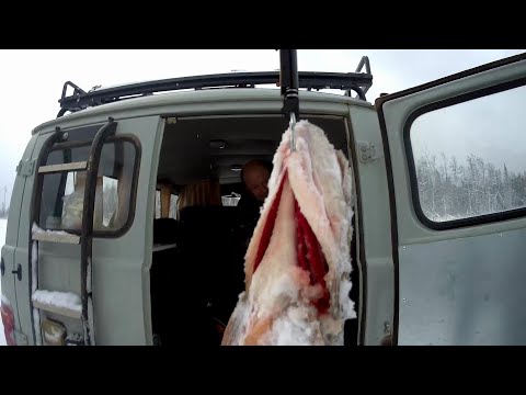 Видео: ЖИВЕМ В "БУХАНКЕ"!!! ПЕРВЫЙ ЛЕД  2019!!ВОТ ЭТО ЩУКИ!!!! КОВА!!