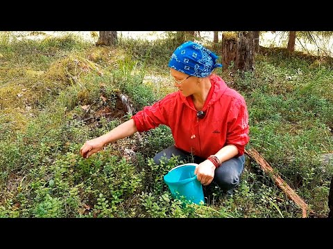 Видео: НЕ ХОТЕЛА ГОВОРИТЬ, НО ЗАСТАВИЛИ! Руки загребущие работают blueberries strawberry 30.07.22