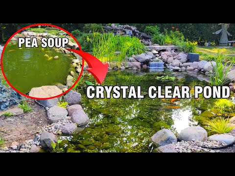 Видео: Фильтрация пруда, которая РАБОТАЕТ. Полная реконструкция.