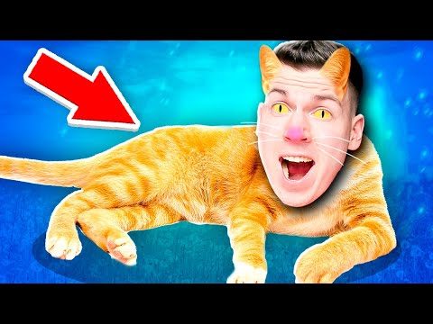Видео: 🐈 Я ПРЕВРАТИЛСЯ в КОТА! Симулятор Кошки ! 🙍‍♂