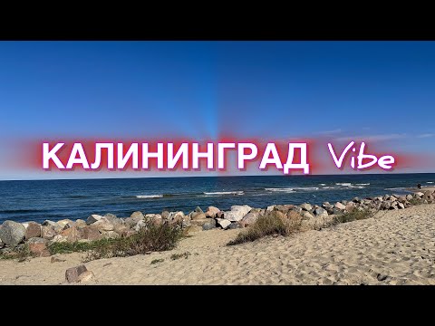 Видео: 🍁Осень в Калининграде 🍂2025🍃Музыкальная пауза🌱Выходные на чили🔥