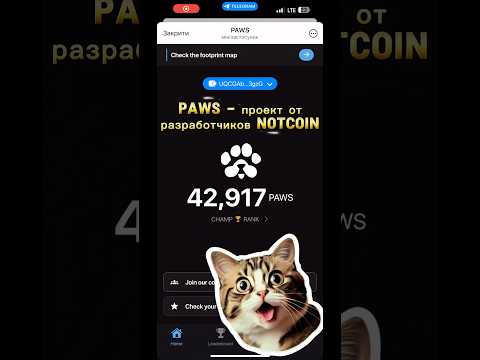 Видео: PAWS - ТАПАЛКА ОТ РАЗРАБОТЧИКОВ NOTCOIN и DOGS🤑