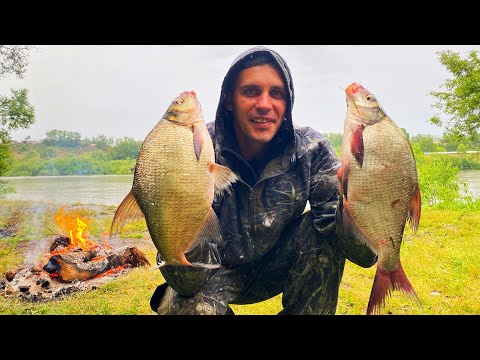 Видео: ОТХВАТИЛ ЧУЛЫМСКОГО ЛЕЩА! рыбалка на реке Чулым