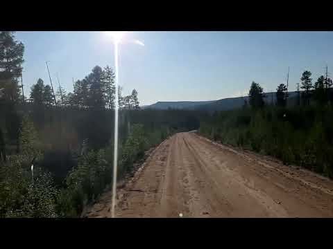 Видео: Шагаем с Белькачей в Юбилейный. Вся жизнь в дороге.