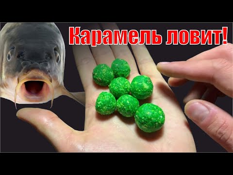 Видео: Карп сходит с ума от КАРАМЕЛЬНОЙ приманки