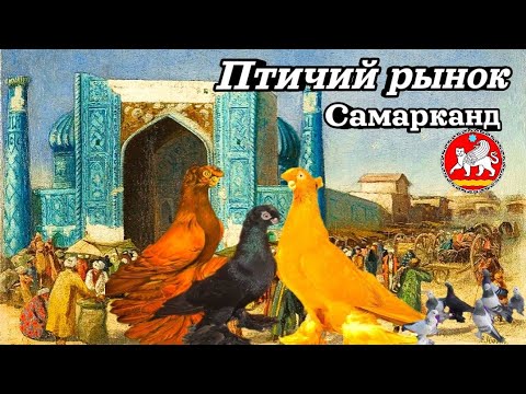 Видео: Покупаем,проверяем,продавцов голубей. #обзор птичий рынок Самарканд. Голуби играют на базаре.
