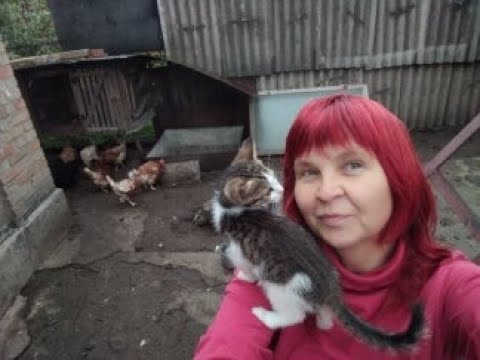 Видео: КРИВИЙ РІГ 10 ЖОВТНЯ 2025.НА ГОРОДІ ЗЕЛЕНО,КЛУМБИ ПОЧАЛИ РОЗКВІТАТИ ГАРНО.ЧИМ ГОДУЮ КУРОЧОК ВРАНЦІ?