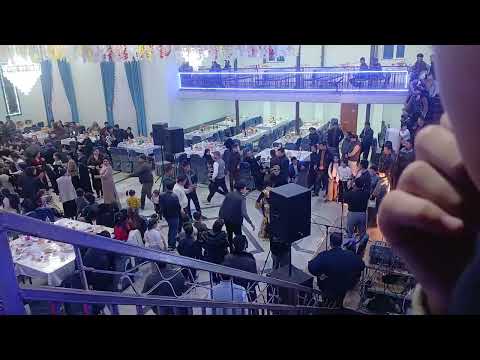 Видео: Jamshid bek nikox toʻyi 14.11.2025#нархлари #андижончаабзор #cow #rek 