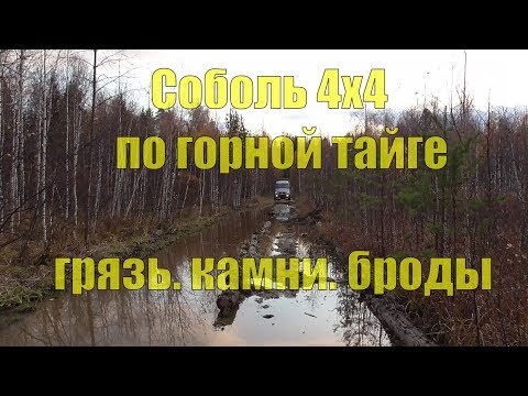 Видео: На Соболе 4х4 по горной тайге. Грязь, камни, броды