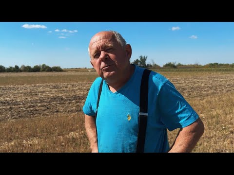 Видео: Дискування