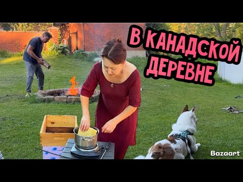 Видео: Жизнь в Канадской деревне// огород, теплица, улья