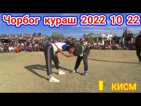 Видео: Чорбог кураш 2022  10  22