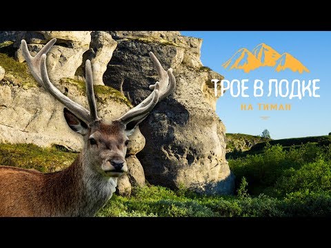 Видео: СЕВЕРНЫЙ ТИМАН (ч.2) | Новые трофеи | Водопад Падун | Путь в Каменный город |Рыбалка щука хариус|НАО