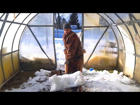 Видео: НУЖНО ЛИ ЗАБРАСЫВАТЬ СНЕГ В ТЕПЛИЦУ? Увлажнение почвы талым снегом