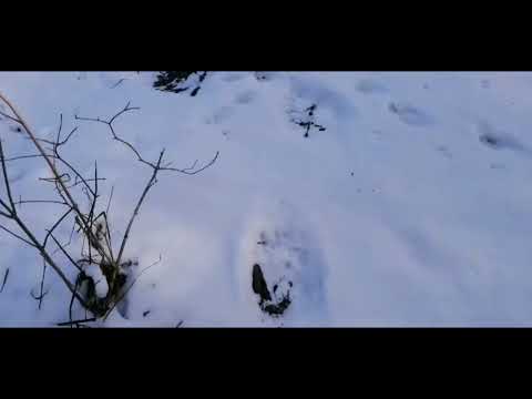 Видео: Хабаровский край,  Анюйский заповедник, река Анюй, скалы Надге 💫