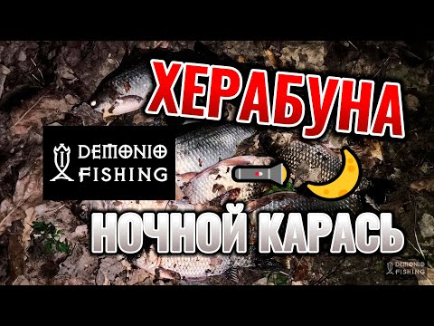 Видео: Херабуна | Ловля карася в сумерках и ночью на светящийся поплавок